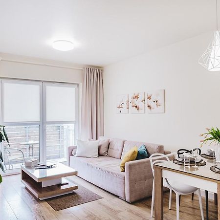 Apartament Niko Stary Toruń Esterno foto